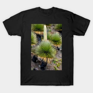 Pérou - Huaraz - Puya  Raymondii T-Shirt